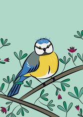 Blue Tit «Sam» Postcard